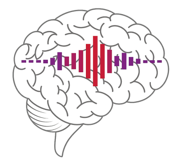 Oír es un proceso cerebral